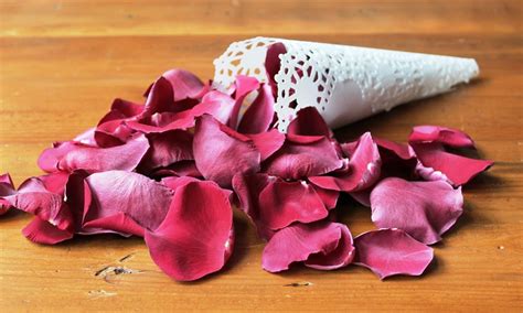 Jak Freeze-Dry Rose Petals